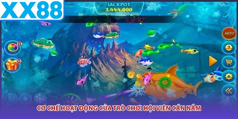 Cơ chế hoạt động của trò chơi hội viên cần nắm