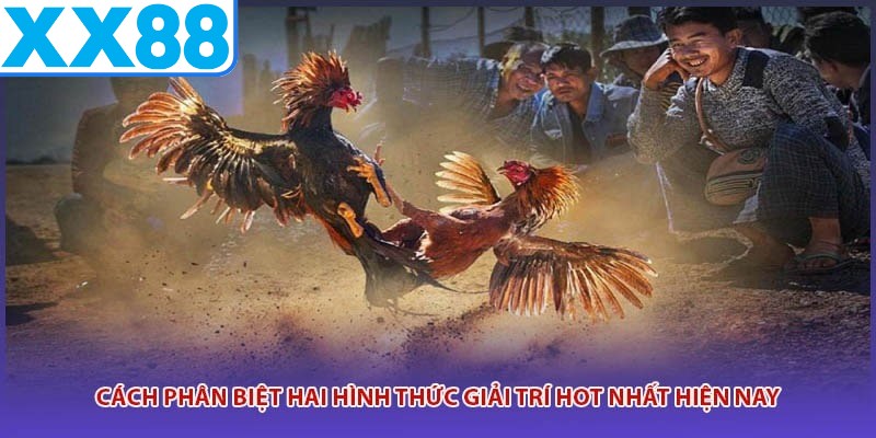 Cách phân biệt hai hình thức giải trí hot nhất hiện nay