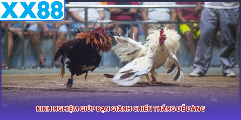 Kinh nghiệm giúp bạn giành chiến thắng dễ dàng