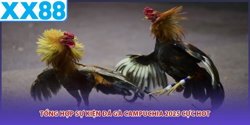 Tổng hợp sự kiện đá gà campuchia 2025 cực hot