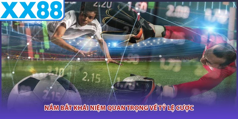 Nắm bắt khái niệm quan trọng về tỷ lệ cược
