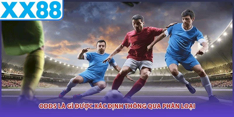 Odds là gì được xác định thông qua phân loại