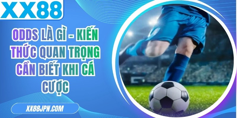 Odds Là Gì - Kiến Thức Quan Trọng Cần Biết Khi Cá Cược