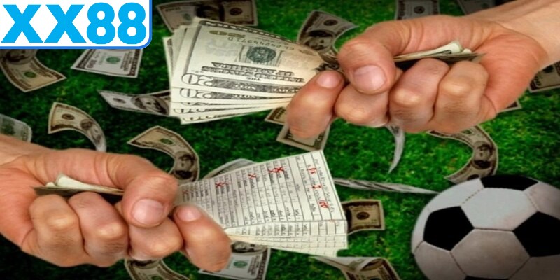 Có rất nhiều cách để nâng cao thu nhập cho hội viên